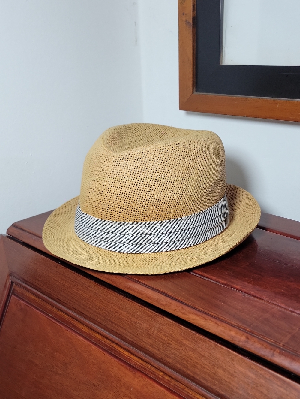 Straw Fedora Hat in Light Tan with Contrasting Band